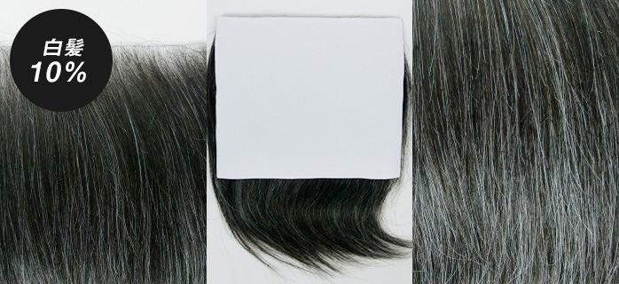 白髪１０％の貼るかつら