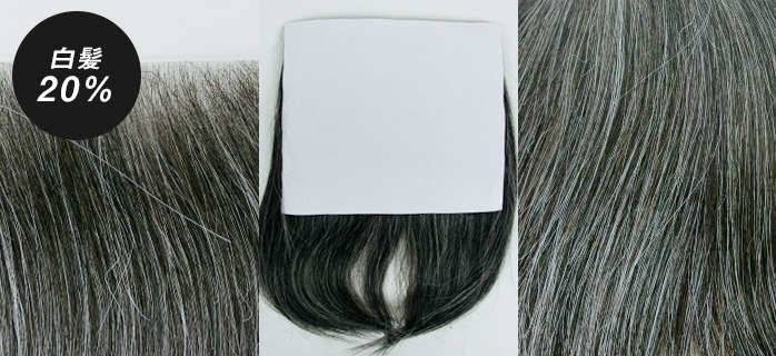 白髪２０％の貼るかつら