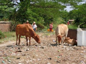 ミャンマー井戸寄付